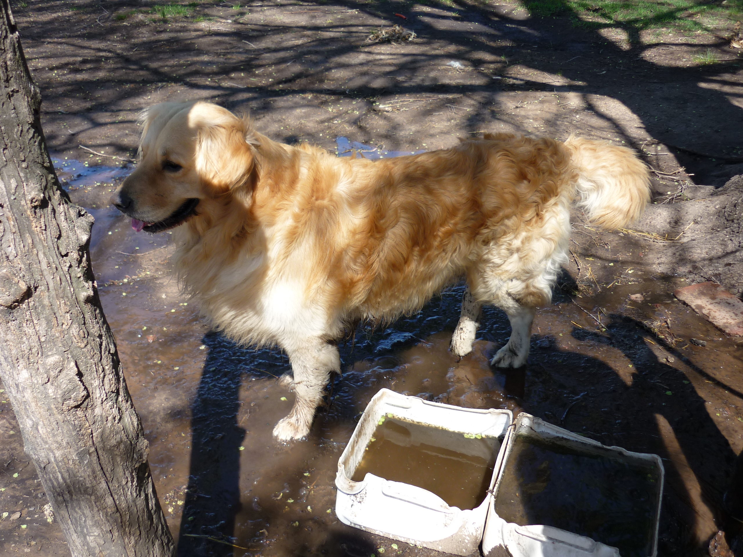 fotos/2009-10-11 - Asado campo facha/P1000263.JPG